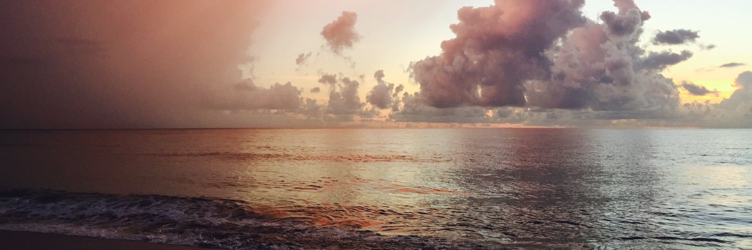 bloop0495's profile banner image