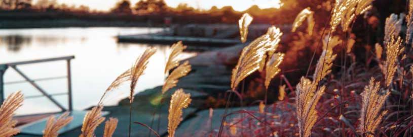 lakeshorepost's profile banner image