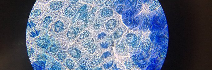 Sedbergh STEM banner