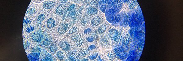 Sedbergh_STEM Profile Banner