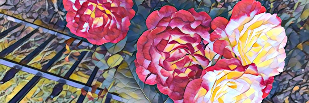elyseMschultzy's profile banner image