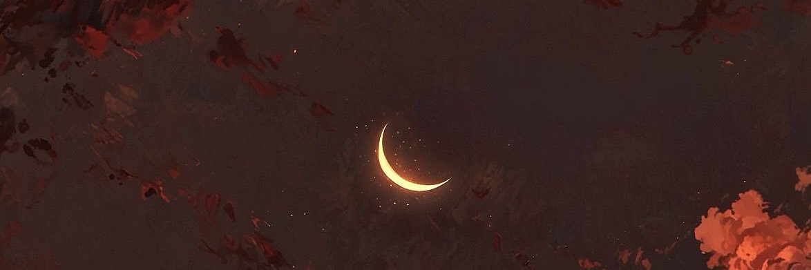 pyaaroses's profile banner image