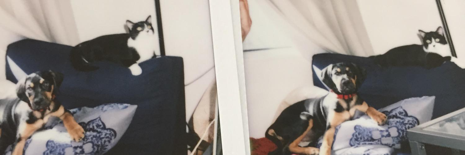 misterhighdef's profile banner image