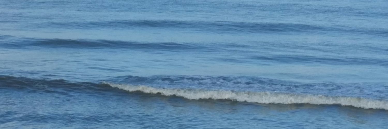 RaviPal0's profile banner image