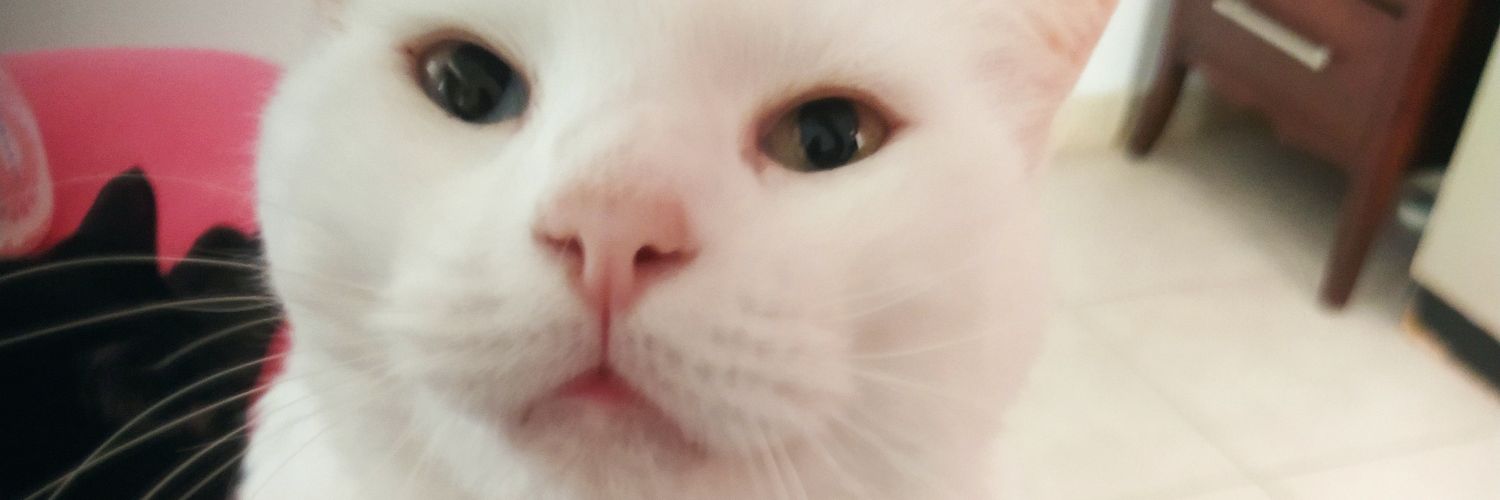 paty_soriedem's profile banner image