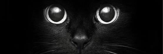 AnnettSeidemann's profile banner image