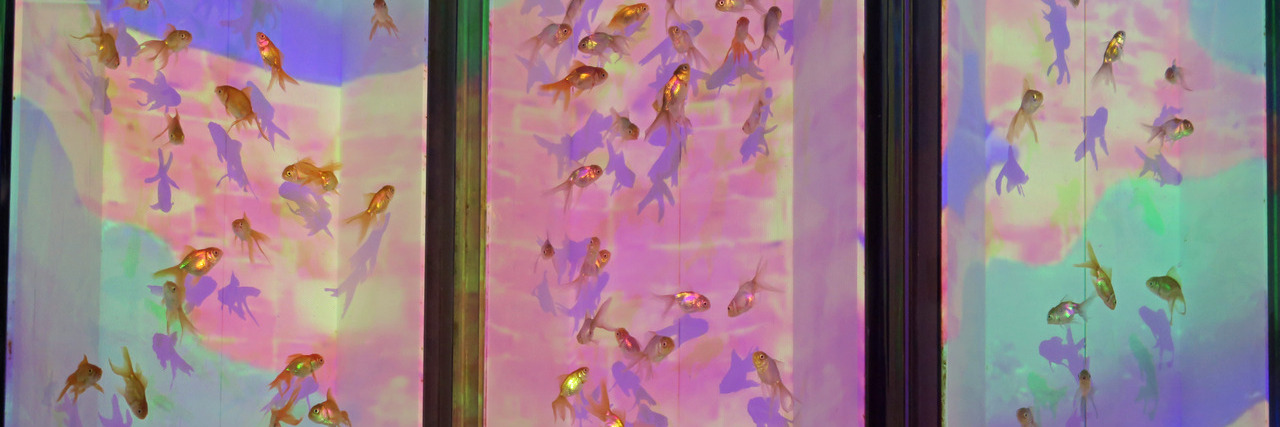 faith banner