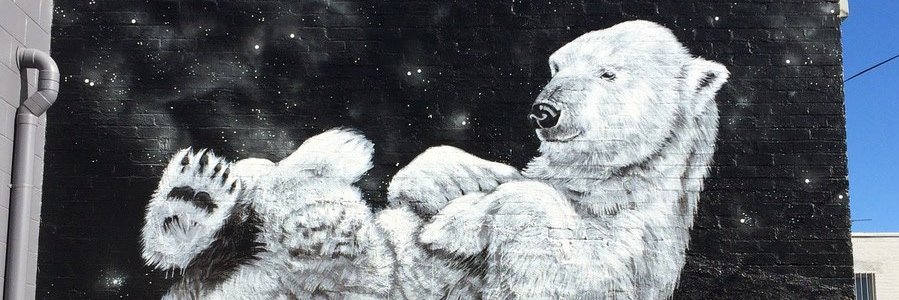 DsAnouket's profile banner image