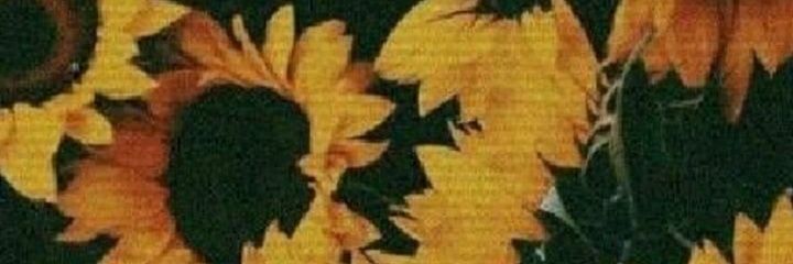 yawnnn_'s profile banner image