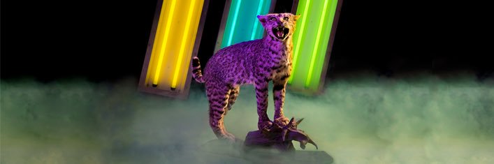 TheSchisms's profile banner image