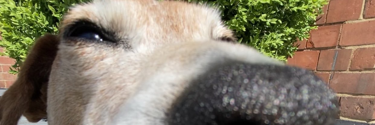 morgan_oliviaa_'s profile banner image