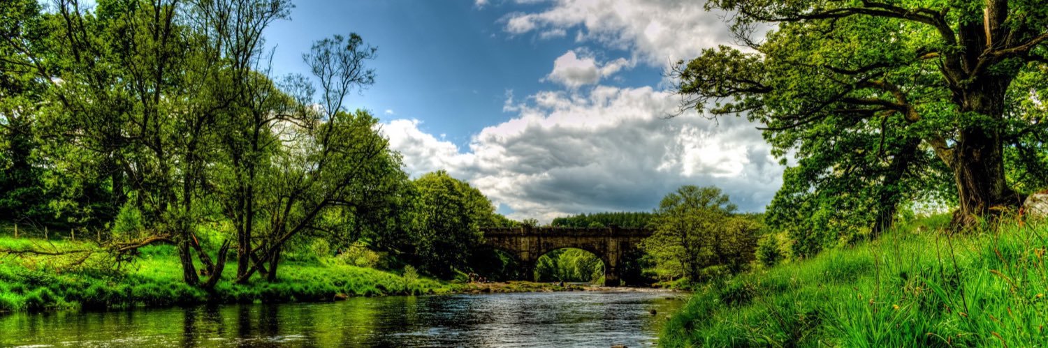 𝔗𝔦𝔪𝔬 𝔅𝔞𝔠𝔥 banner