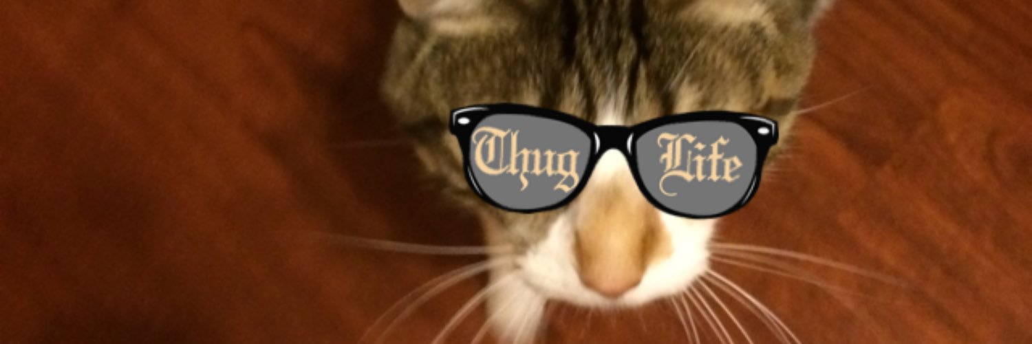 kelcsalt's profile banner image