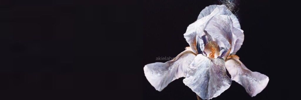 adamstallgdr's profile banner image