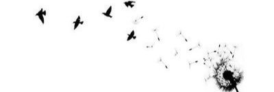 viola_para's profile banner image