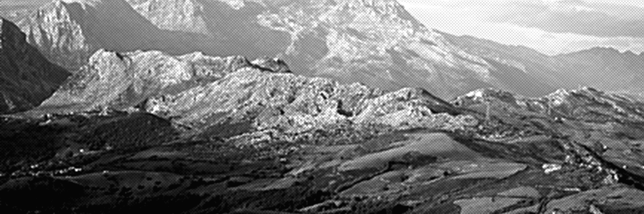infakt21 banner