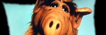 sofynette85's profile banner image