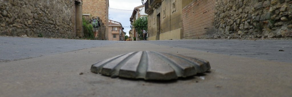 Catherine-Amélie Chassin banner