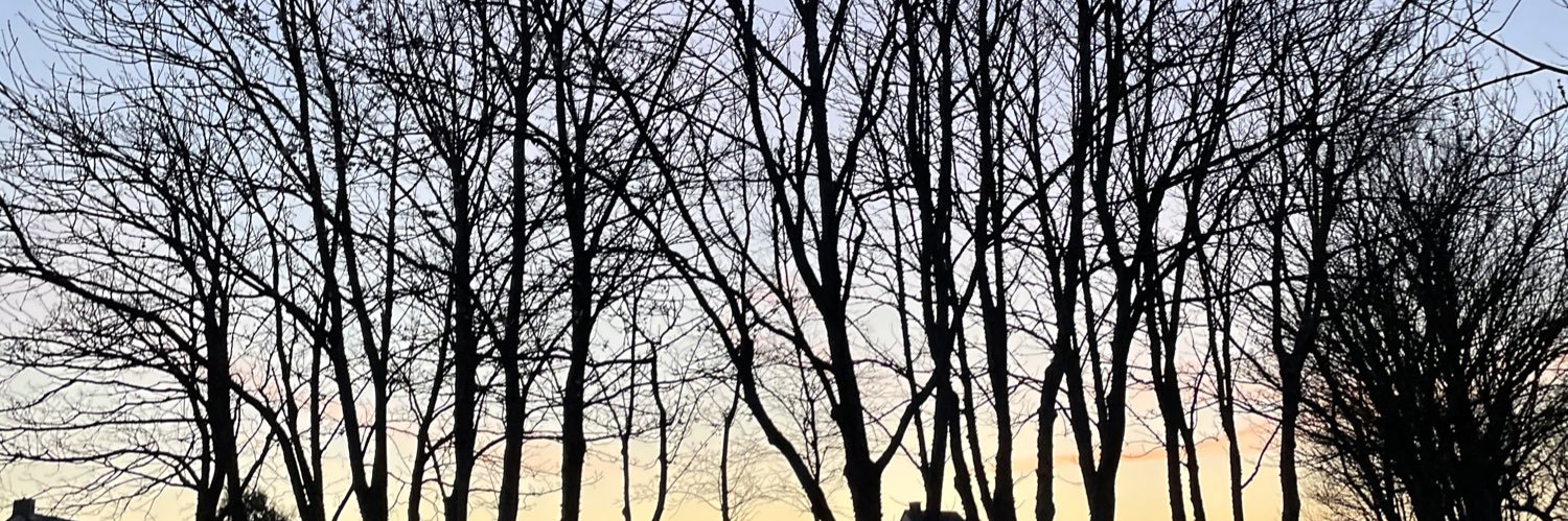 BletelThibault's profile banner image