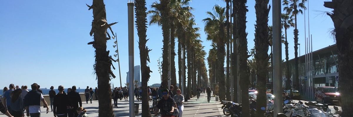 Yeli_M16's profile banner image