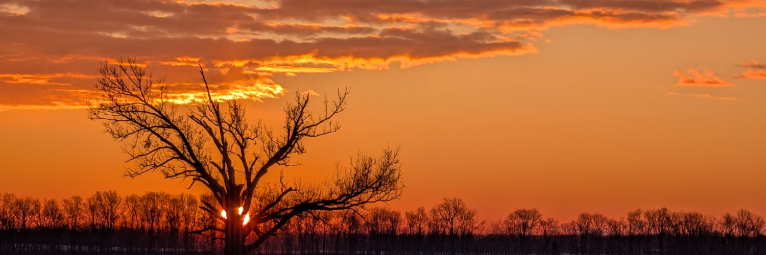 Steve Fulling banner