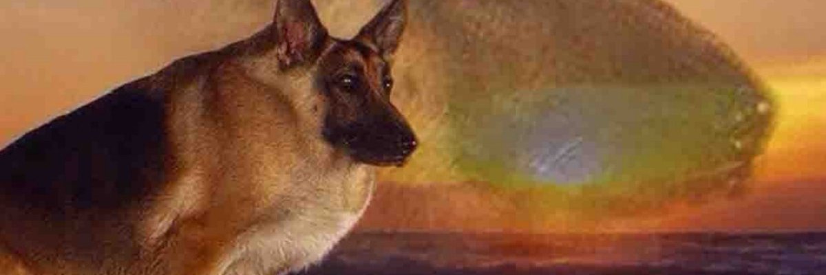 Markiyan goes to the Lonely mountain banner