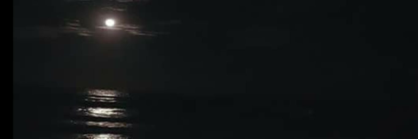 Queen_monte's profile banner image