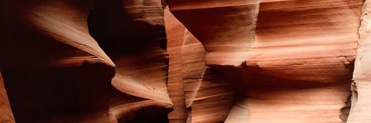 caseytroulias's profile banner image