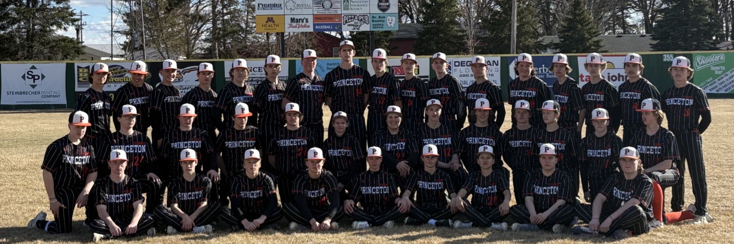 Tiger Baseball banner