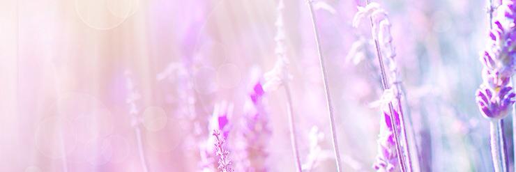 Bean_Tuo's profile banner image