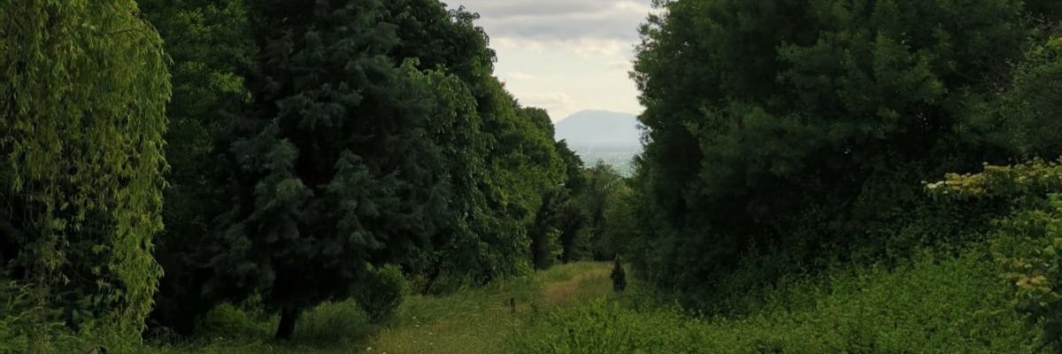 fazilkirgin's profile banner image