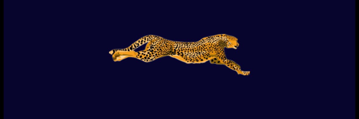 Dkrmsall's profile banner image