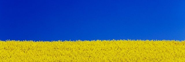 mbergh68's profile banner image