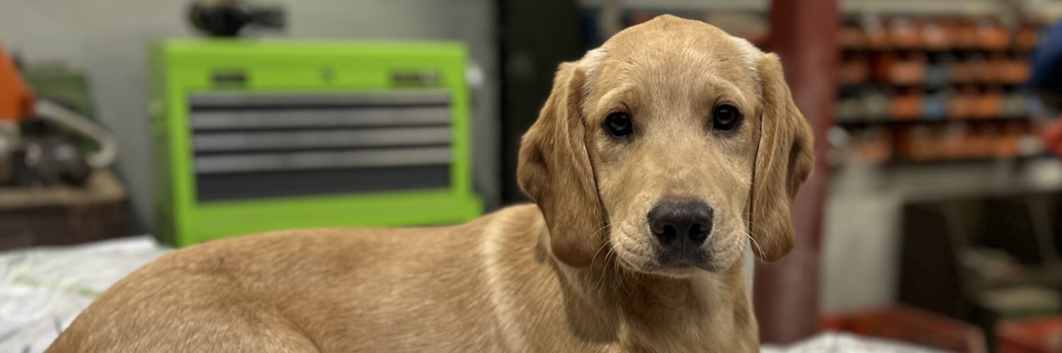 Farming Life Ash banner