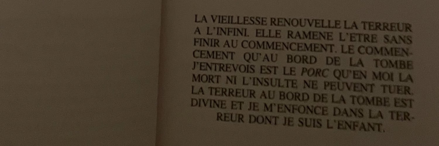 Susan Vance 🇵🇸🇨🇩🇱🇧🇪🇭🇸🇩‼️ banner