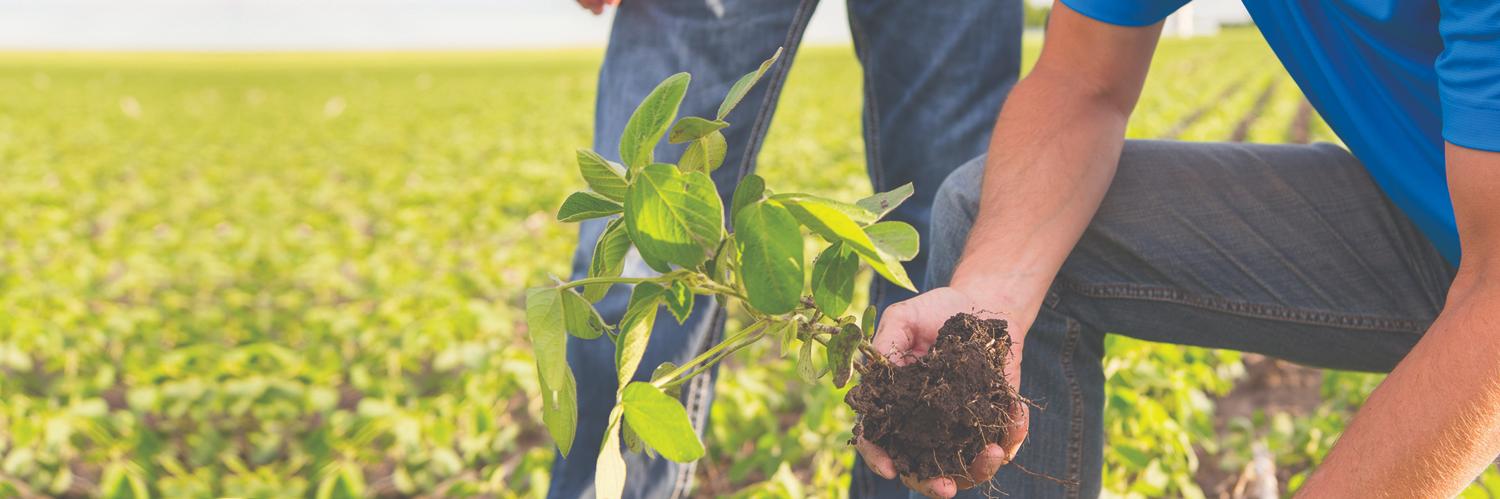 Corteva Argentina banner