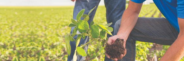 CortevaARG Profile Banner