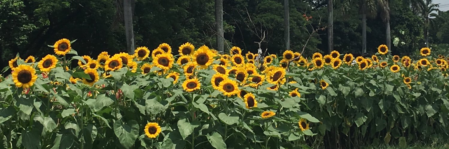 katherinecnls_'s profile banner image