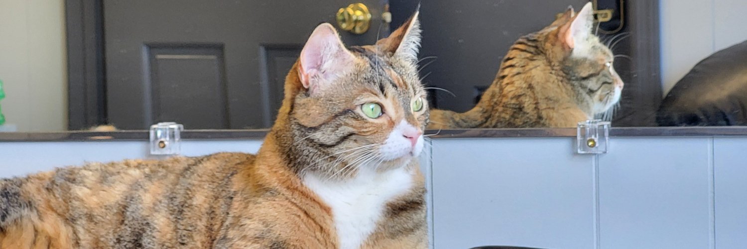 WokeReichUS's profile banner image