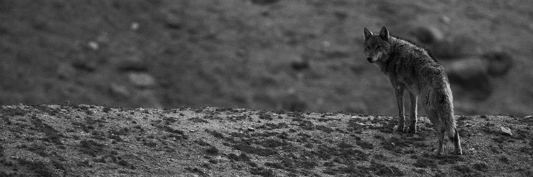 _dbolatdb's profile banner image