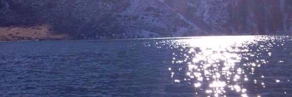 Emi Rudnik עמי רודניק banner