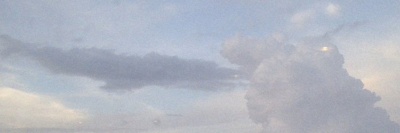 gardenofharry's profile banner image