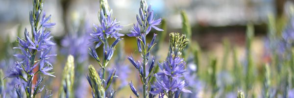 BATGBlog Profile Banner