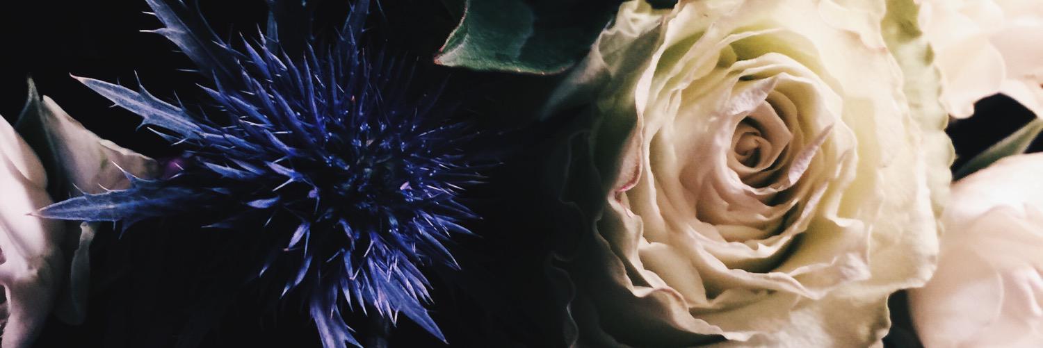 chelsea_becker's profile banner image