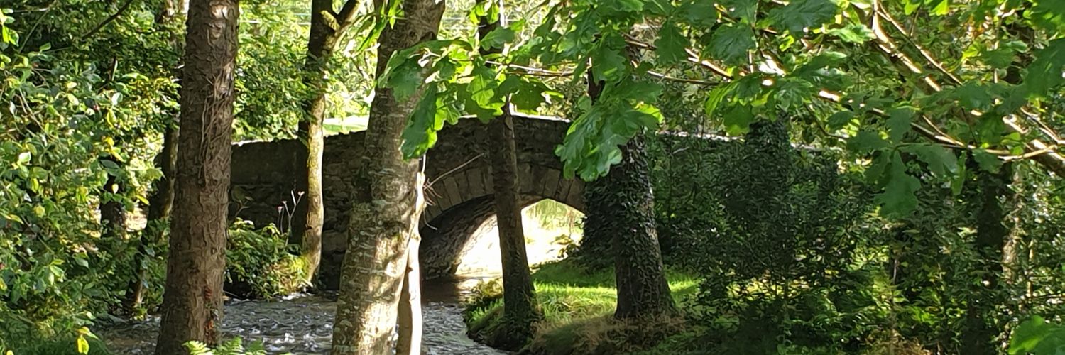 Dr Olivia Gray RN PhD banner