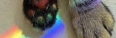 quieropzza's profile banner image