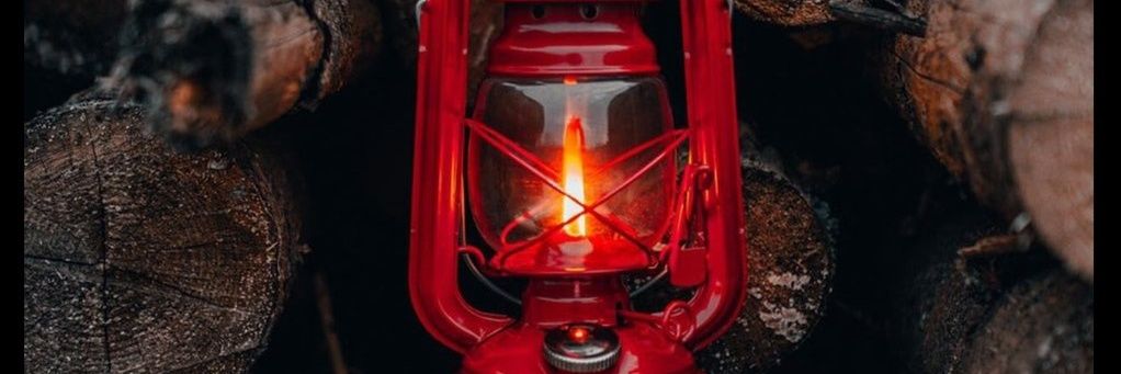 Paul Bonaventure banner