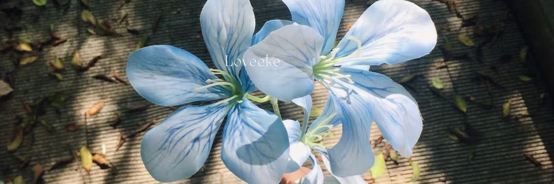 ___panyanggg's profile banner image