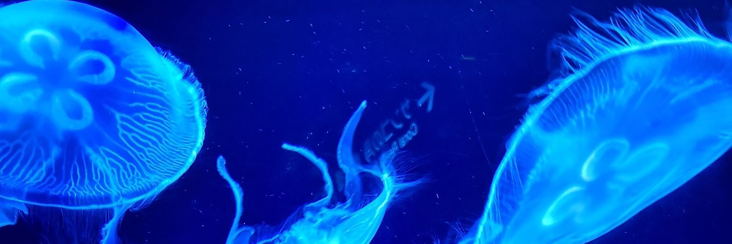 Caetlan's profile banner image