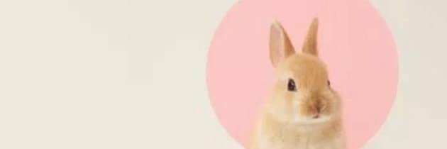 Sartorius004's profile banner image